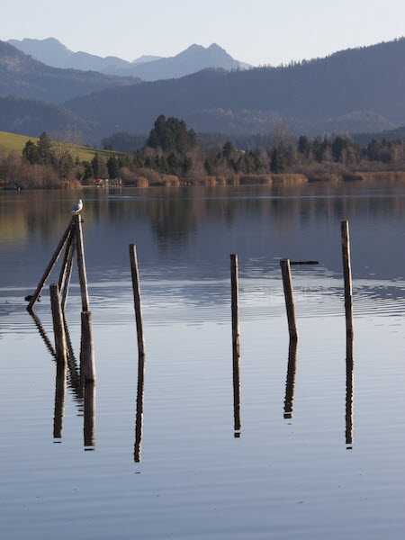 Enzensberg